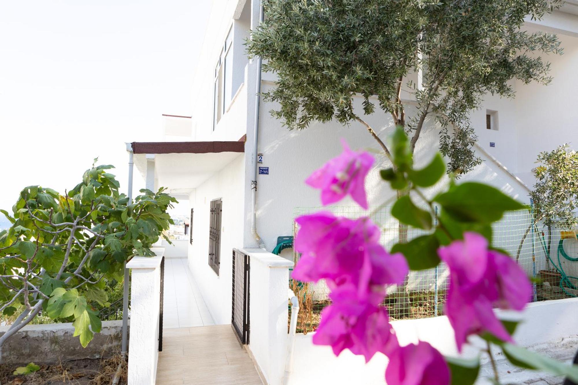 Seaview * Bodrum